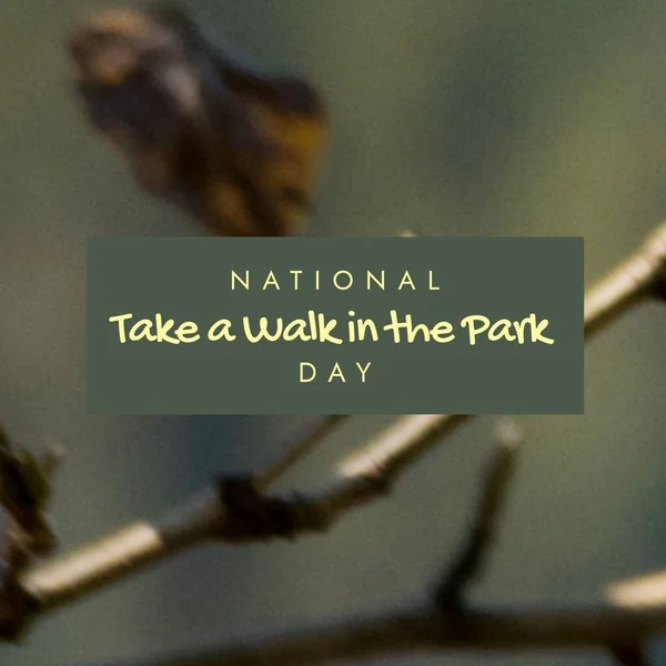 Composition National Take Walk Park Day Text Branch National Take — стоковое фото