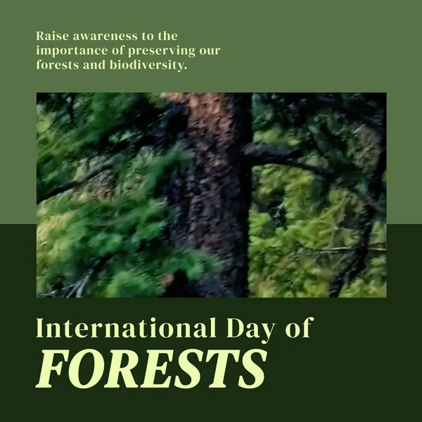 Composition of international day of forests text over forest on green background. International day of forests and celebration concept digitally generated image.
