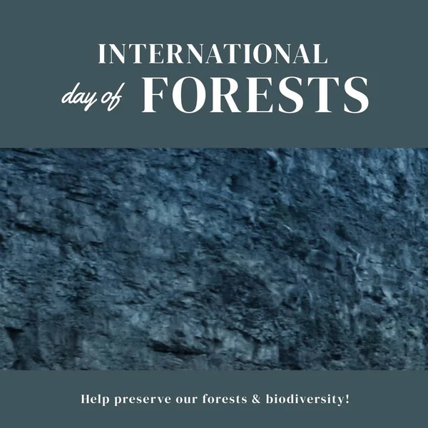 Composition International Day Forests Text Trees International Day Forests Nature — Stock Photo, Image