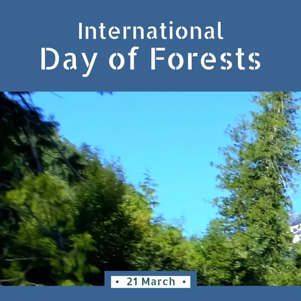 Composition of international day of forests text and trees. International day of forests, nature and environment concept.