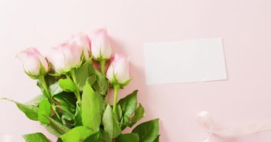 Video of pink roses and card with copy space on pink background. Mothers day, nature and spring concept.