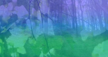 Animation of colorful light over forest and leaves. Abstract background, color and nature concept digitally generated video.