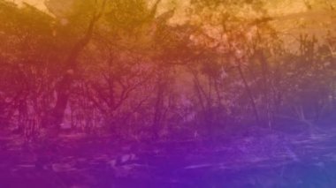 Animation of colorful light over forest. Abstract background, color and nature concept digitally generated video.