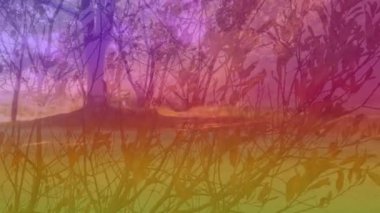 Animation of colorful light over forest. Abstract background, color and nature concept digitally generated video.