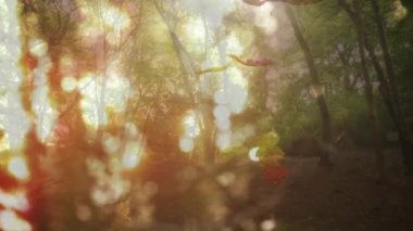 Animation of bokeh over forest and leaves. Abstract background, color and nature concept digitally generated video.