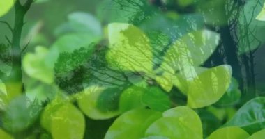 Animation of green leaves over forest. Abstract background, color and nature concept digitally generated video.