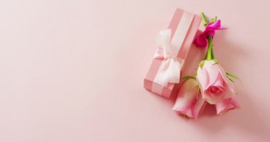 Video of pink roses and box with copy space on pink background. Mothers day, nature and spring concept.