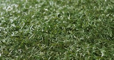 Close up of golf ball on grass, copy space, slow motion. Golf, sport and hobby concept.