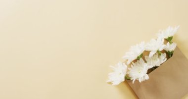 Video of white flowers in envelope with copy space on yellow background. Mothers day, nature and spring concept.