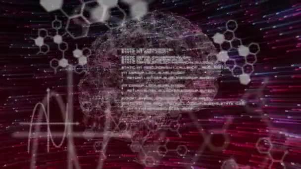 Анімація Цифрового Мозку Обробкою Даних Над Світловими Слідами Чорному Тлі — стокове відео