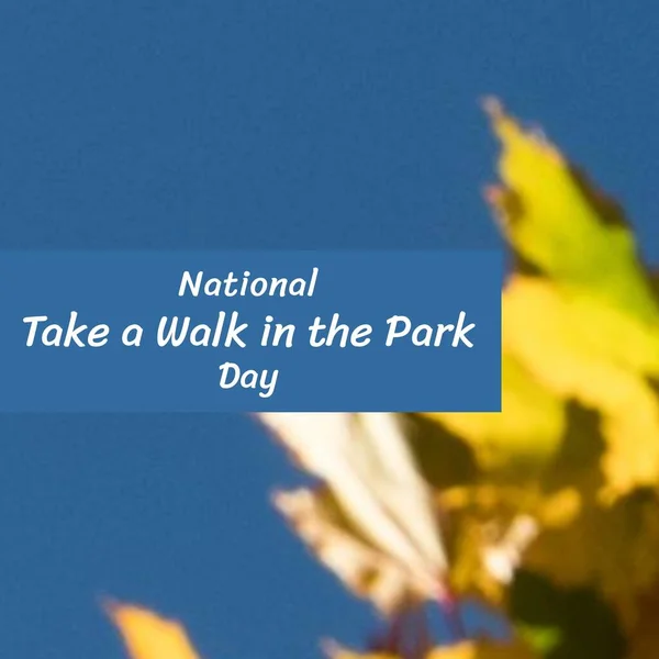 Composition of national take a walk in the park day text over leaves on blue background. National take a walk in the park day and celebration concept digitally generated image.