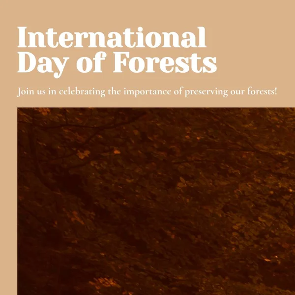 Composition International Day Forest Text Trees Forest International Day Forest — Stock Photo, Image