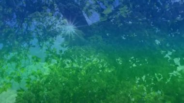 Animation of colorful light over forest. Abstract background, color and nature concept digitally generated video.