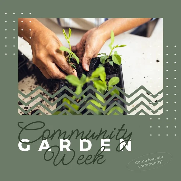 Composition of community garden week text over biracial woman gardening. Community garden week concept digitally generated image.