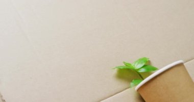 Close up of paper trash and cup with plant on cardboard background, with copy space. Global recycling, ecology and nature concept.