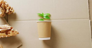 Close up of paper trash and cup with plant on cardboard background, with copy space. Global recycling, ecology and nature concept.
