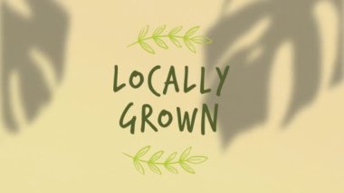 Animation of locally grown text over shadows of leaves. Nature and ecology concept digitally generated video.