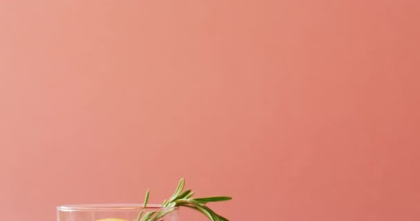 Close Drink Grapefruit Pink Background Cocktail Day Party Celebration Concept — 비디오