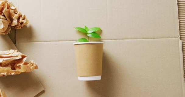 Close Paper Trash Cup Plant Cardboard Background Copy Space Global — стоковое видео