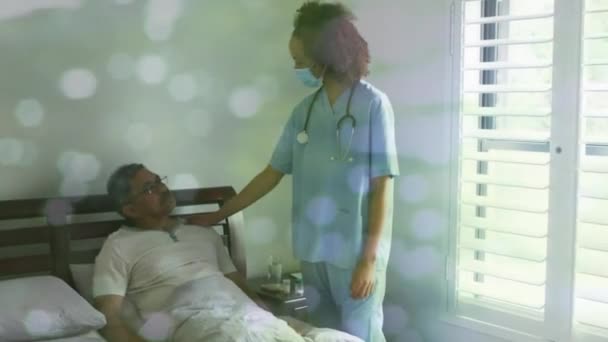 Animation Bokeh Diverse Doctor Patient Talking Holding Hand Medicine Healthcare — ストック動画