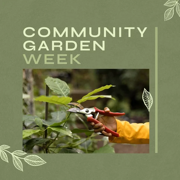Composition of community garden week text over hand of african american boy cutting plant. Community garden week concept digitally generated image.