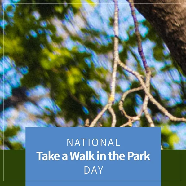 Composite of national take a walk in the park day text in blue rectangle over trees growing in park. Fitness, nature, exercise, active and healthy lifestyle concept.