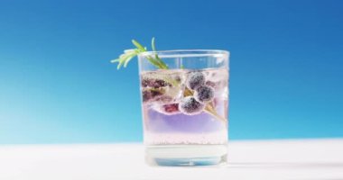 Close up of transparent drink with bluberries on blue background. Cocktail day, party and celebration concept.