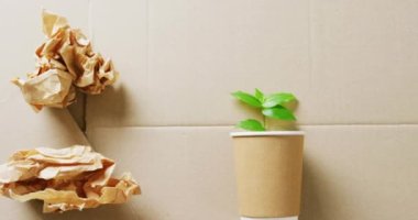 Close up of paper trash and cup with plant on cardboard background, with copy space. Global recycling, ecology and nature concept.
