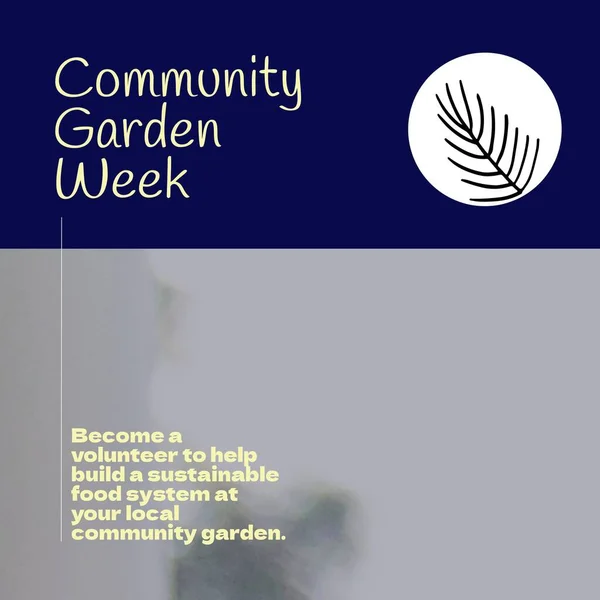 Composition of community garden week text and copy space on grey background. Community garden week, gardening and sustainability concept digitally generated image.