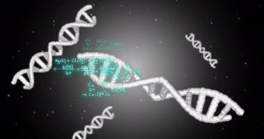 Animation of dna strands, mathematical formulae and scientific data processing over grey background. Global science, computing and data processing concept digitally generated video.