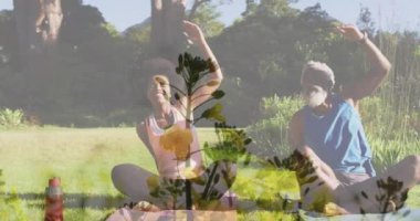 Animation of plants over african american couple doing yoga, stretching, slow motion. Sport, fitness and healthcare concept digitally generated video.