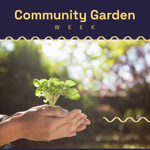 Composition of community garden week text and copy space on hands with plants background. Community garden week, gardening and sustainability concept digitally generated image.
