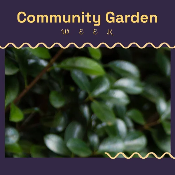 Composition of community garden week text and copy space on plants background. Community garden week, gardening and sustainability concept digitally generated image.