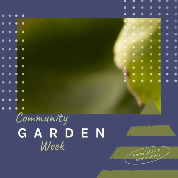 Composition of community garden week text and copy space on green background. Community garden week, gardening and sustainability concept digitally generated image.