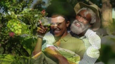 Animation of plants over african american couple embracing in garden. Gardening, lifestyle and nature concept digitally generated video.