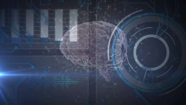 Animation Cerveau Humain Traitement Des Données Scientifiques Sur Fond Bleu — Video