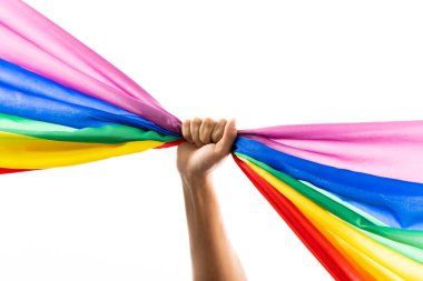 Hand holding rainbow coloured flag with copy space on white background. Pride month, equality, lgbt and human rights concept.