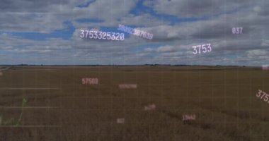 Animation of financial data processing over agriculture field. Global sports competition and data processing concept digitally generated video.