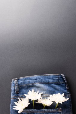 Vertical image of jeans with flowers in pocket over grey background. Clothes, fashion, design, fabrics, materials and shopping concept.