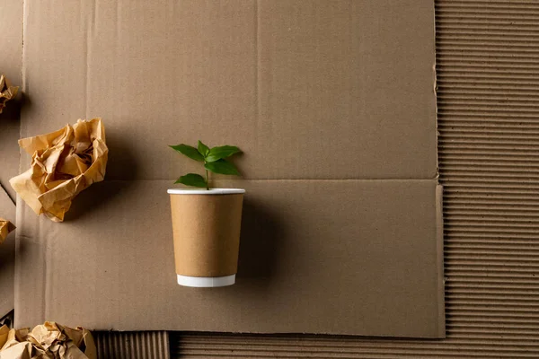 Nahaufnahme Von Papierstücken Und Tasse Mit Pflanze Auf Papphintergrund Mit — Stockfoto