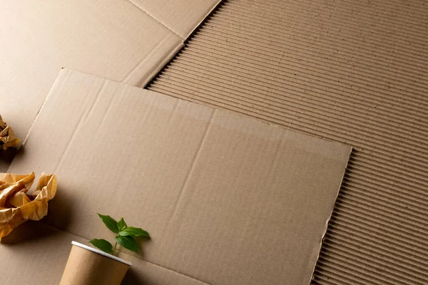 Nahaufnahme Von Papierstücken Und Tasse Mit Pflanze Auf Papphintergrund Mit — Stockfoto
