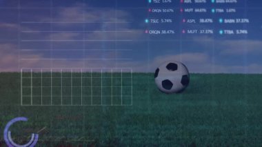Animation of digital screen with financial data over soccer ball on field. Soccer, sport, finance and technology concept digitally generated video.