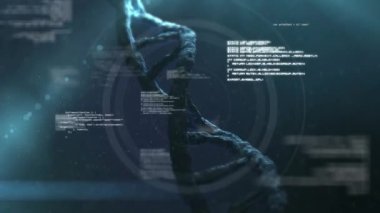 Veri işleme ve DNA iplikçiklerinin tarama alanındaki animasyonu. Küresel bilim ve dijital arayüz kavramı dijital olarak oluşturulmuş video.