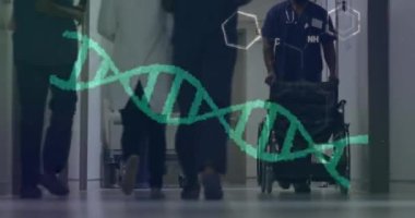 Animation of dna strand and chemical formula over diverse doctors working at hospital. Medicine, healthcare and digital interface concept concept digitally generated video.