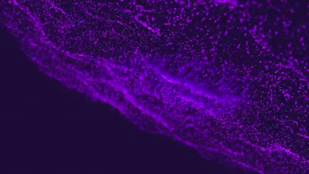 Animation Purple Spots Black Background Light Pattern Movement Concept Digitally — Vídeo de Stock