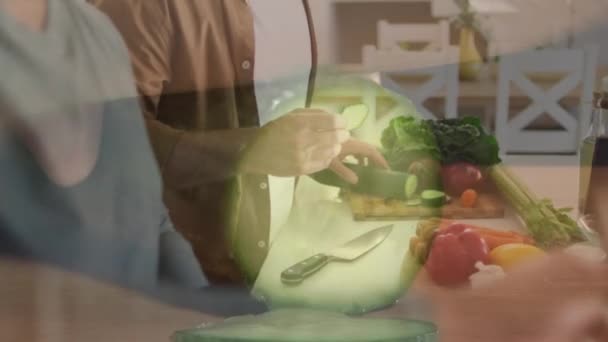 Animation Hands Chopping Vegetables Diverse Male Couple Cooking Dinner Kitchen — Vídeo de Stock