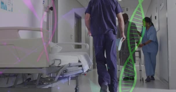 Animation Dna Strand Connections Diverse Doctor Patient Hospital Medicine Healthcare — Vídeos de Stock