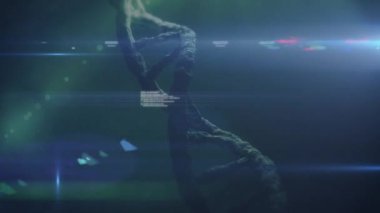 Animation of data processing and dna strand over light spots. Global science and digital interface concept digitally generated video.