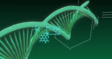 Matematiksel denklemlerin yeşil arkaplandaki DNA ipliği üzerinde canlandırılması. Küresel iş ve dijital arayüz kavramı dijital olarak oluşturulmuş video.
