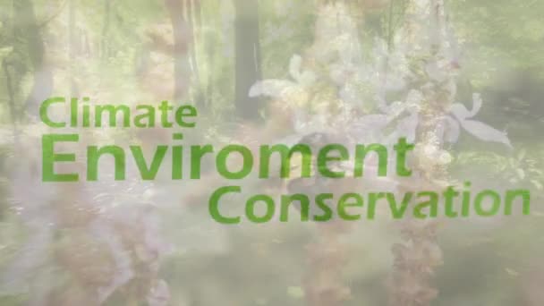 Animatie Van Milieubeschermingstekst Planten Het Bos Dag Van Aarde Milieubehoud — Stockvideo